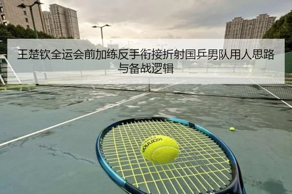 王楚钦全运会前加练反手衔接折射国乒男队用人思路与备战逻辑 | YABO.COM