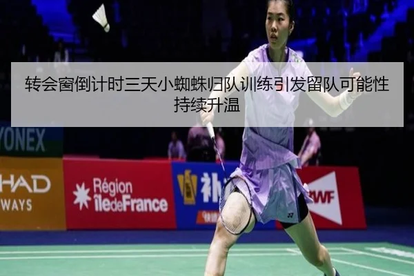 转会窗倒计时三天小蜘蛛归队训练引发留队可能性持续升温（YABO.COM）
