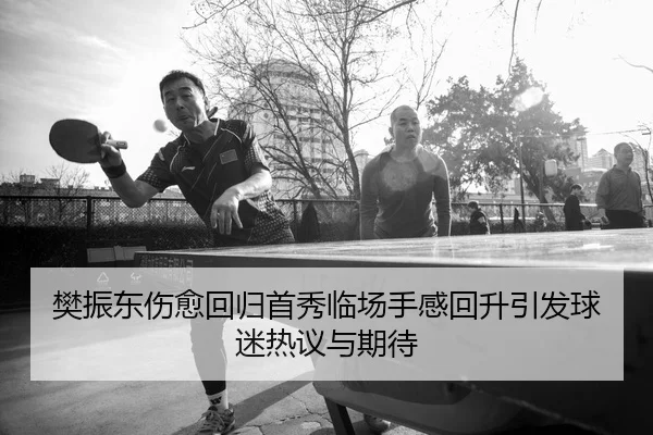 樊振东伤愈回归首秀临场手感回升引发球迷热议与期待（YABO.COM）