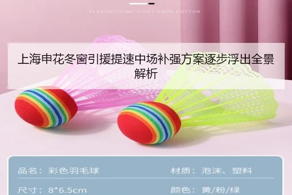上海申花冬窗引援提速中场补强方案逐步浮出全景解析（YABO.COM）
